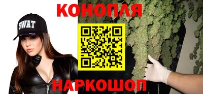 крисы Рязань