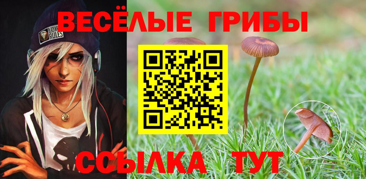 Галлюциногенные грибы мицелий Орёл