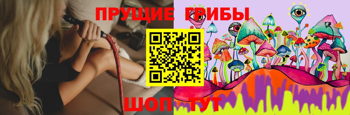 купить закладку  Вход с VPN  Орёл  Галлюциногенные грибы мицелий 