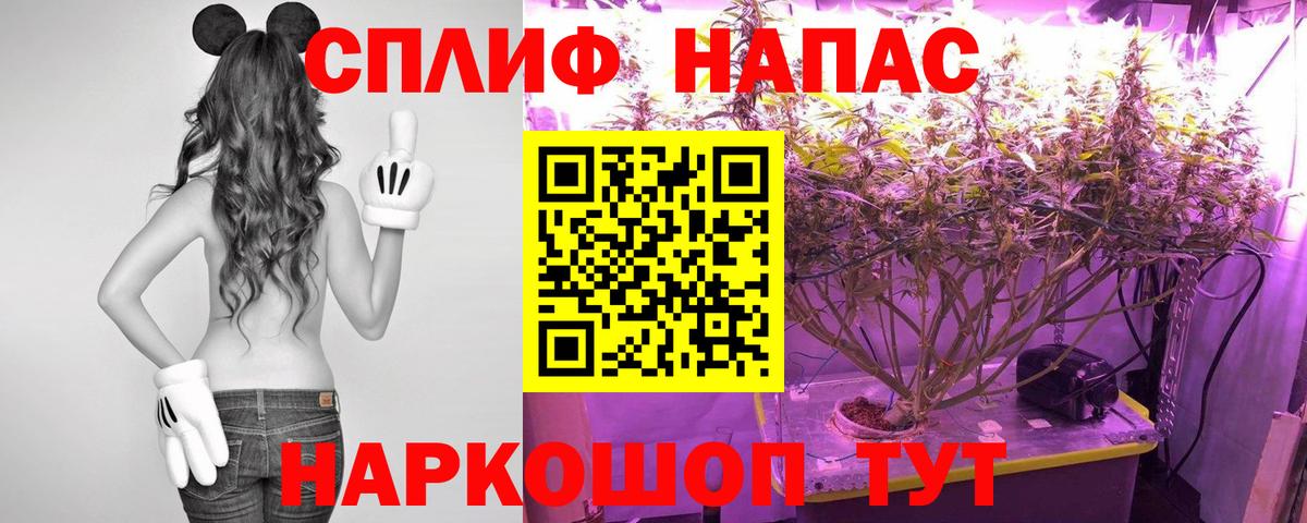 КЕТАМИН Орёл